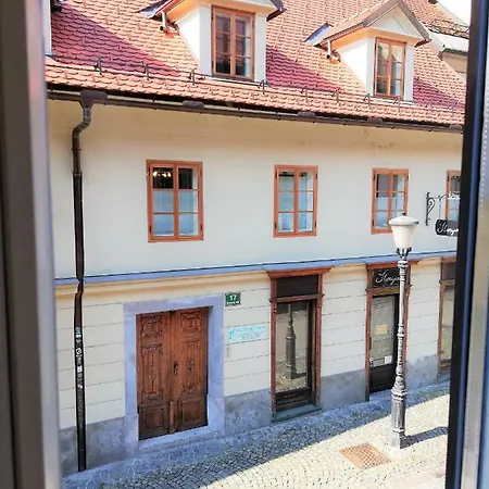 Gratitude & Harmony Wellstay In Old Ljubljana* Lubiana